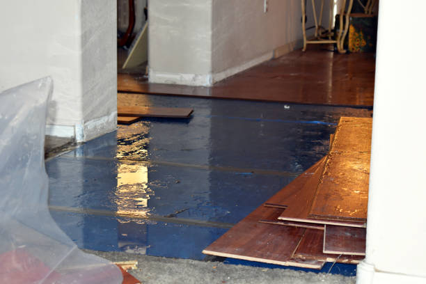 Professional Basement Flooding technician working in Arlington Heights, WA